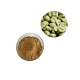 nutritional supplements green coffee bean extract powder supplier
